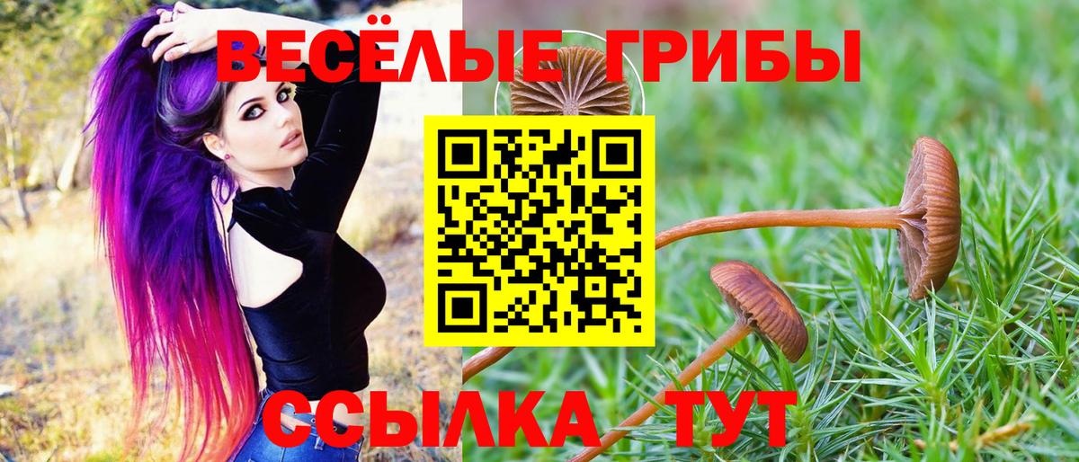 Лосино-Петровский  Галлюциногенные грибы мицелий  Вход с VPN 